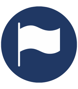 Decorative image of a flag.
